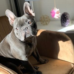 Meet your Posher, Erin